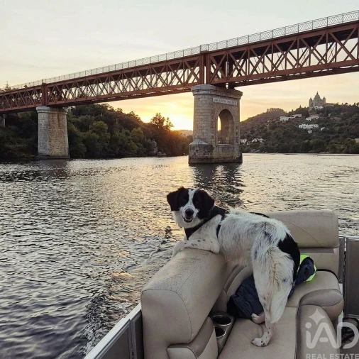 Apartamento T1 para Venda em Gavião e Atalaia Foto 33