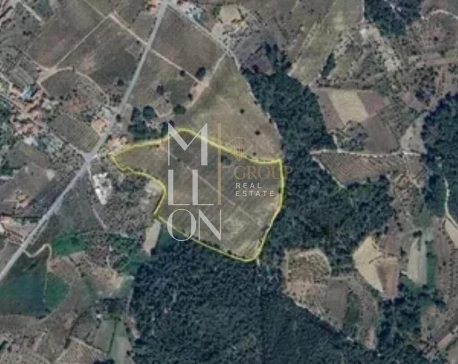 Terreno para Venda em Carvalhal Redondo e Aguieira Foto 1