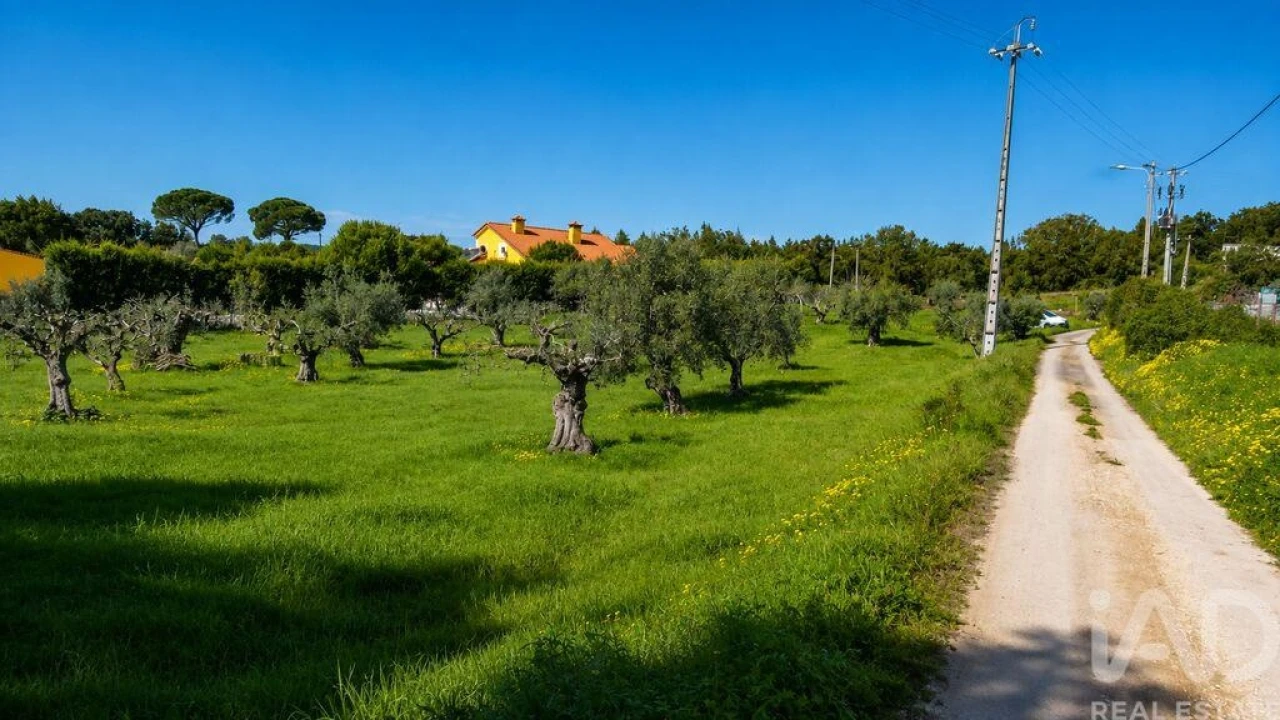 Terreno para Venda em Meia Via Foto 5