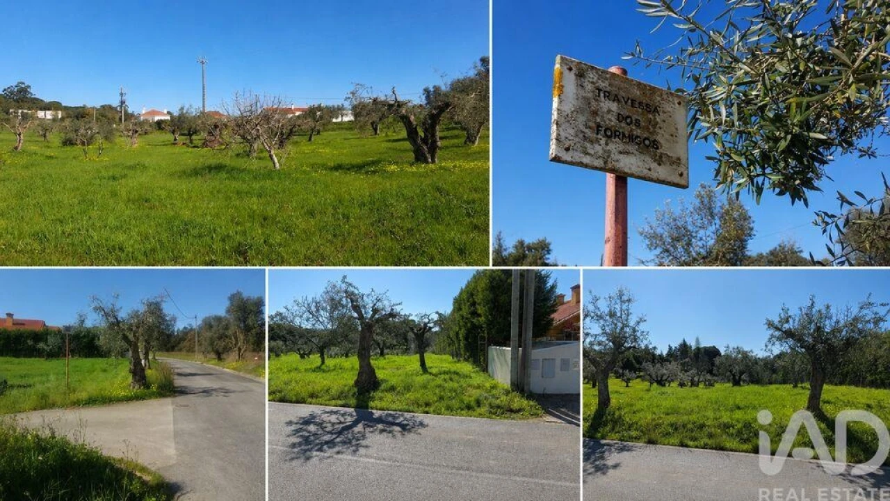 Terreno para Venda em Meia Via Foto 1