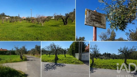 Terreno para Venda em Meia Via