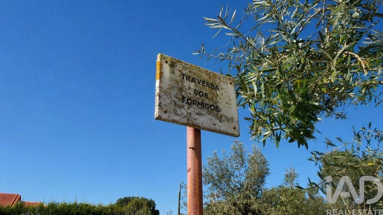 Terreno para Venda em Meia Via Foto 3
