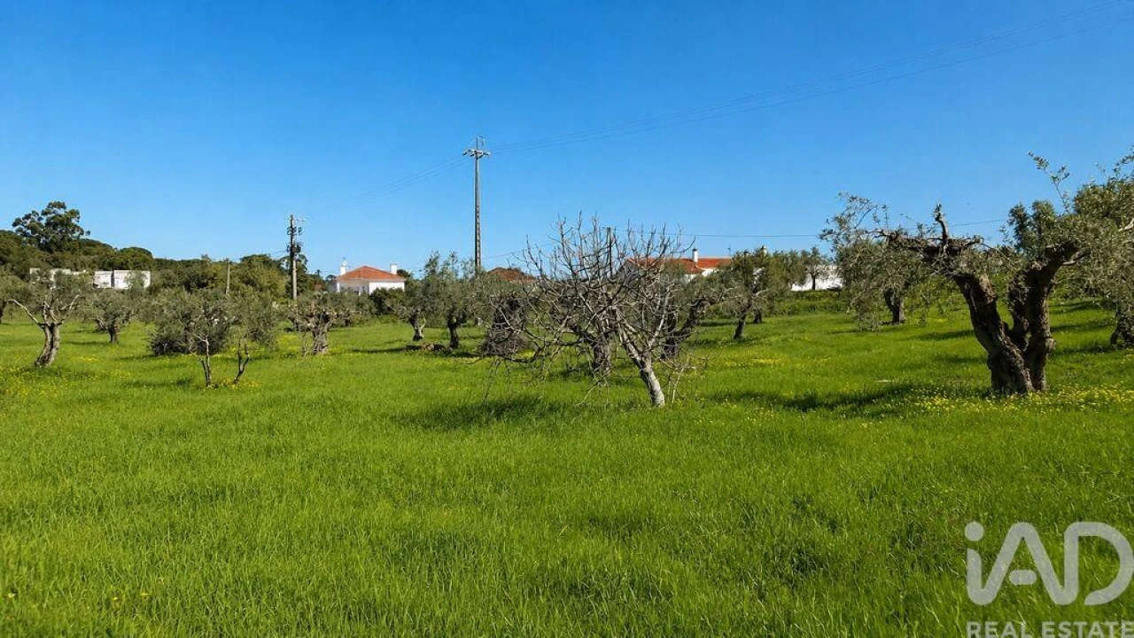Terreno para Venda em Meia Via Foto 4