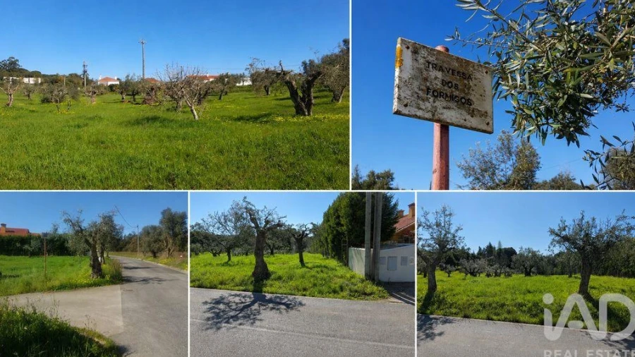 Terreno para Venda em Meia Via