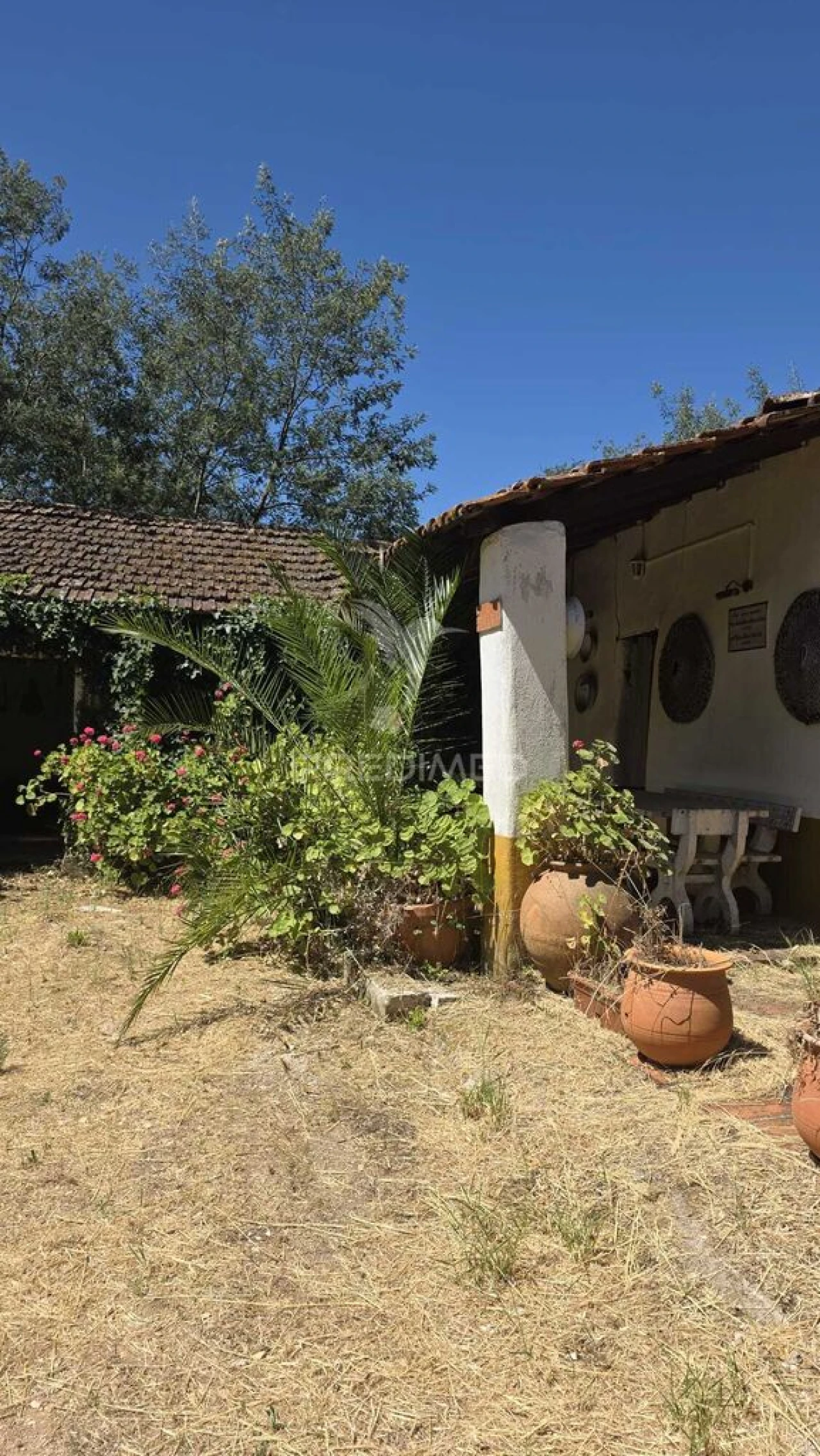 Moradia T2 para Venda em Malhou, Louriceira e Espinheiro Foto 2