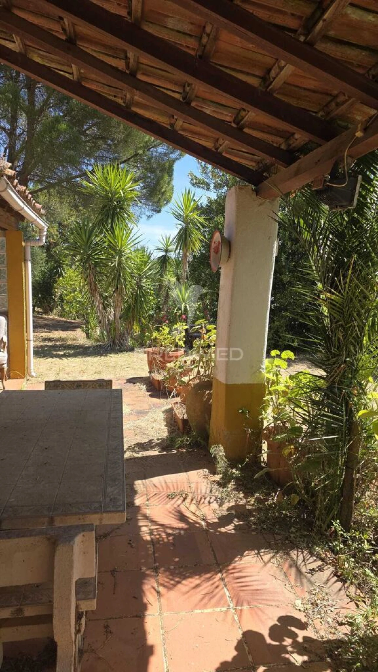 Moradia T2 para Venda em Malhou, Louriceira e Espinheiro Foto 9