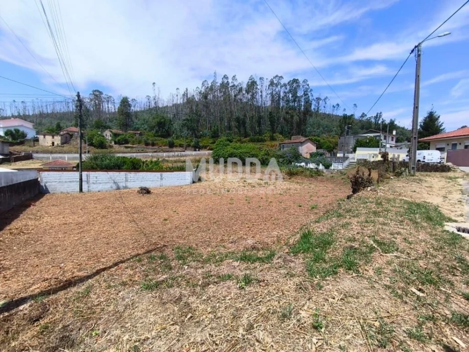Terreno para Venda em Branca Foto 9