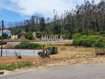 Terreno para Venda em Branca