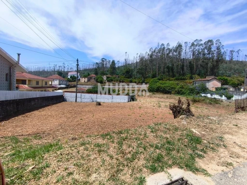 Terreno para Venda em Branca Foto 10