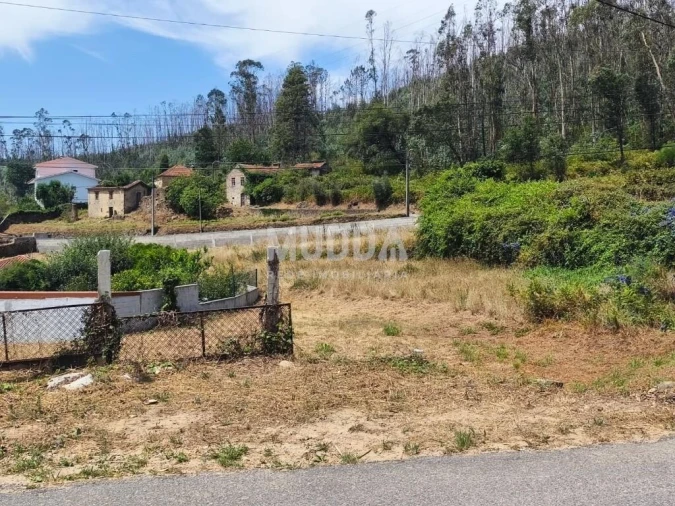 Terreno para Venda em Branca Foto 15