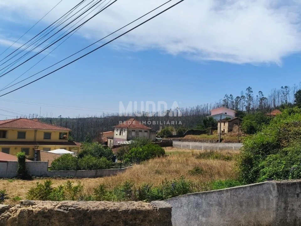 Terreno para Venda em Branca Foto 13