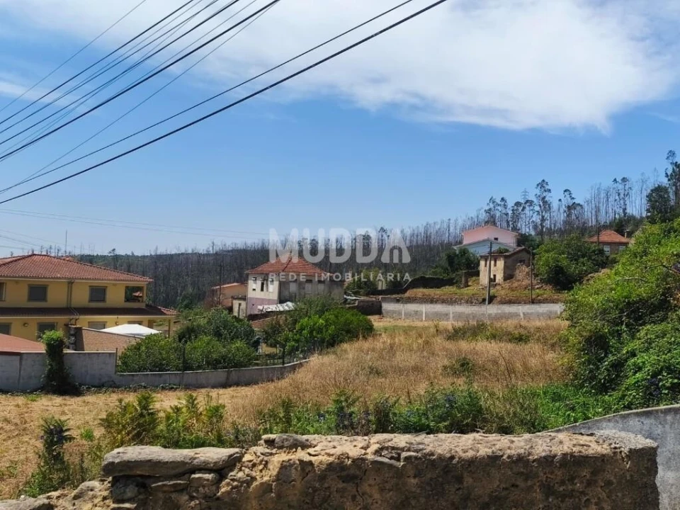 Terreno para Venda em Branca Foto 12