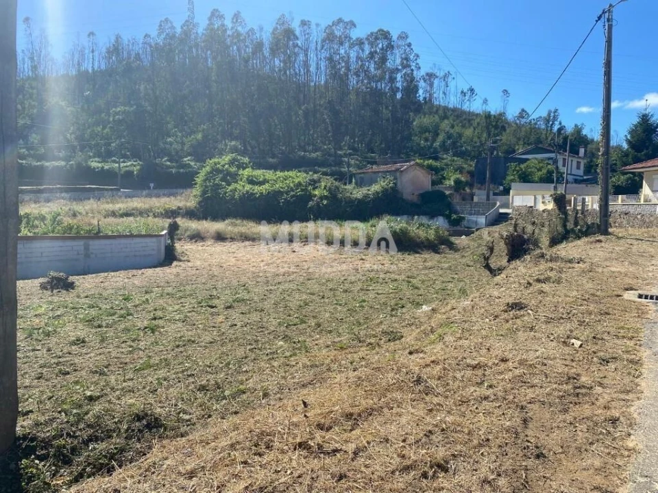 Terreno para Venda em Branca Foto 8