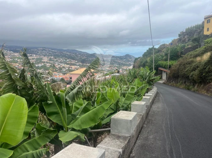 Terreno para Venda em Camara de Lobos Foto 3