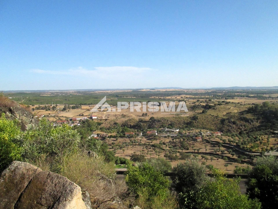 Terreno para Venda em Idanha-A-Nova e Alcafozes Foto 25