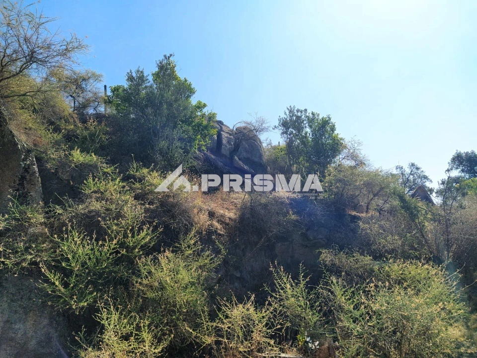 Terreno para Venda em Idanha-A-Nova e Alcafozes Foto 38