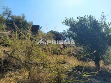 Terreno para Venda em Idanha-A-Nova e Alcafozes