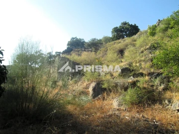 Terreno para Venda em Idanha-A-Nova e Alcafozes