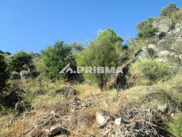 Terreno para Venda em Idanha-A-Nova e Alcafozes