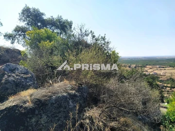 Terreno para Venda em Idanha-A-Nova e Alcafozes