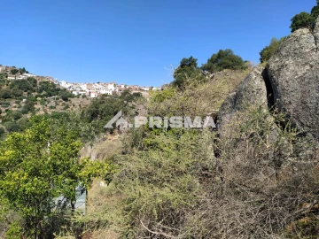 Terreno para Venda em Idanha-A-Nova e Alcafozes