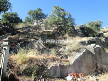 Terreno para Venda em Idanha-A-Nova e Alcafozes
