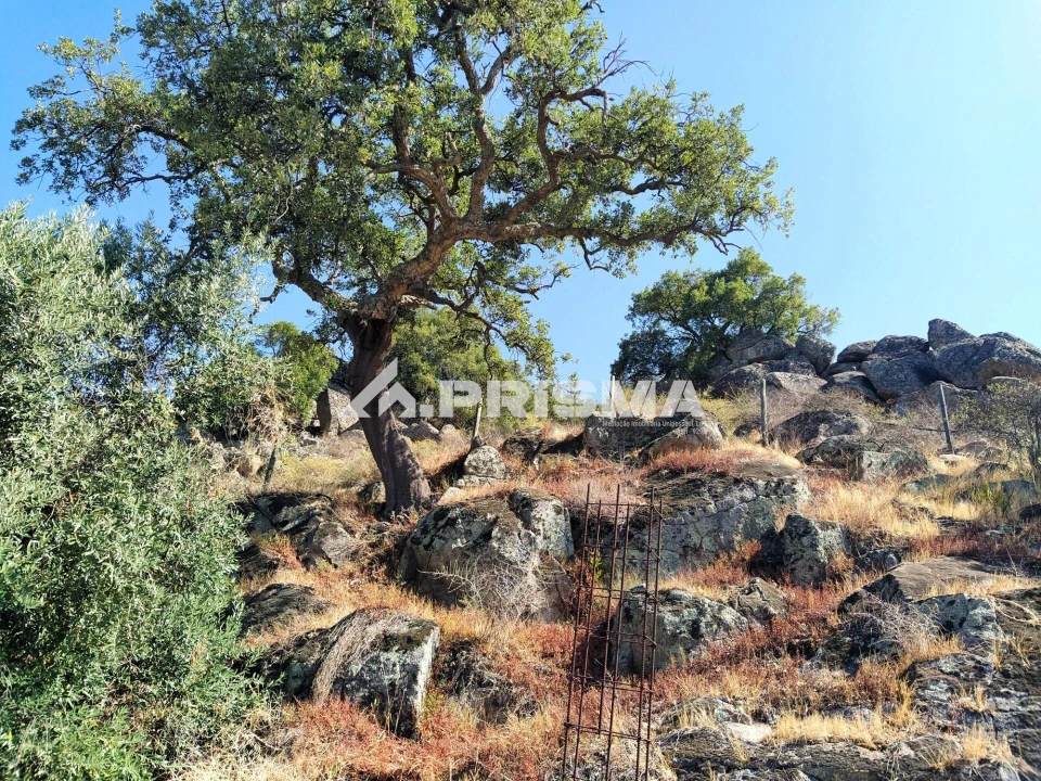 Terreno para Venda em Idanha-A-Nova e Alcafozes Foto 27
