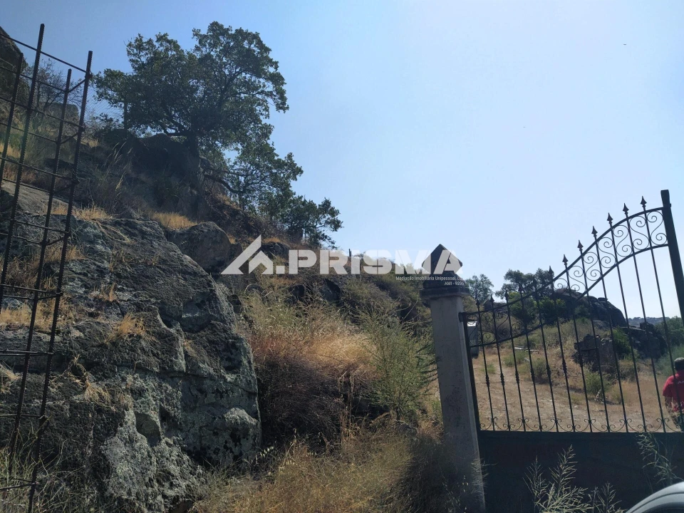 Terreno para Venda em Idanha-A-Nova e Alcafozes Foto 28