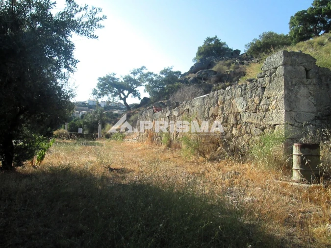Terreno para Venda em Idanha-A-Nova e Alcafozes Foto 20