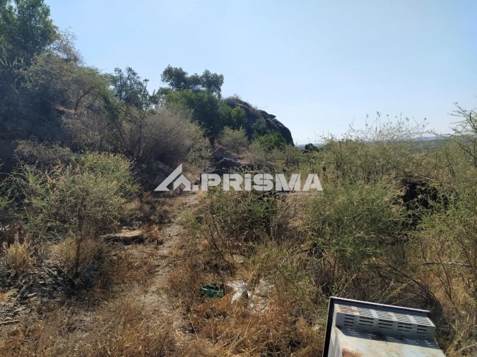 Terreno para Venda em Idanha-A-Nova e Alcafozes Foto 31