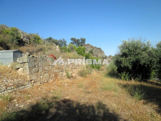 Terreno para Venda em Idanha-A-Nova e Alcafozes Foto 14