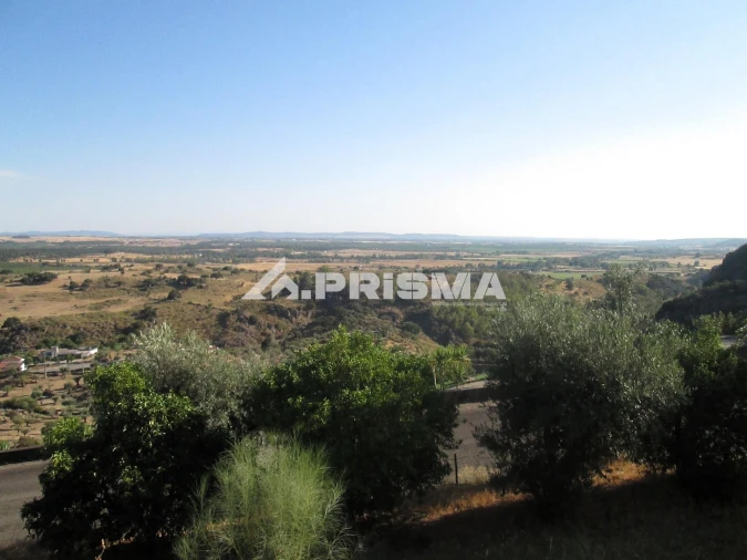 Terreno para Venda em Idanha-A-Nova e Alcafozes Foto 23