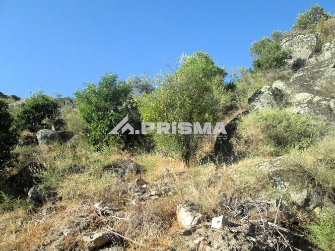 Terreno para Venda em Idanha-A-Nova e Alcafozes Foto 17