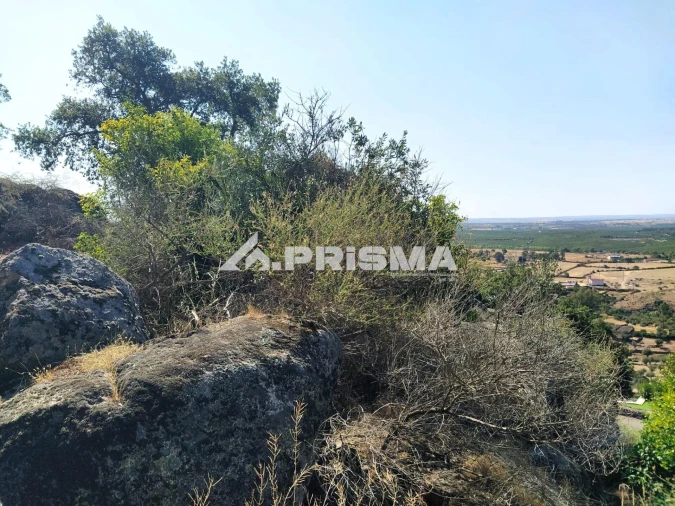 Terreno para Venda em Idanha-A-Nova e Alcafozes Foto 33
