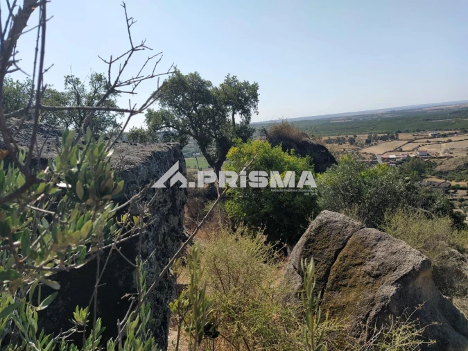 Terreno para Venda em Idanha-A-Nova e Alcafozes Foto 32