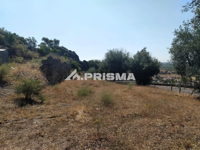 Terreno para Venda em Idanha-A-Nova e Alcafozes Foto 29