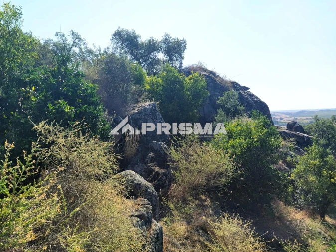 Terreno para Venda em Idanha-A-Nova e Alcafozes Foto 40