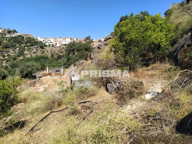 Terreno para Venda em Idanha-A-Nova e Alcafozes Foto 34