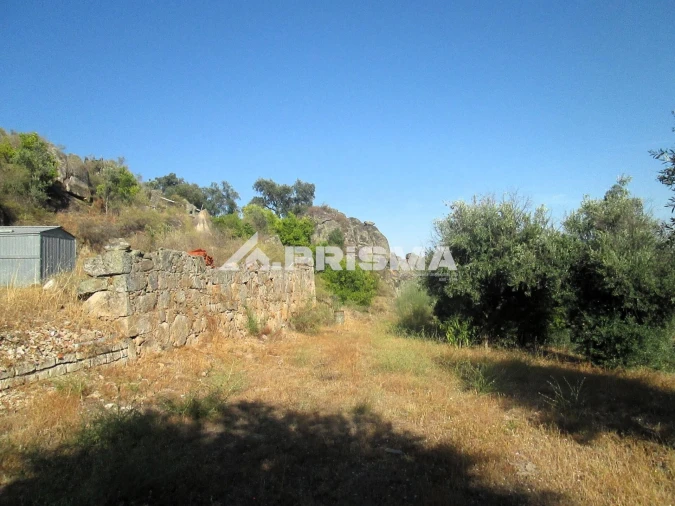 Terreno para Venda em Idanha-A-Nova e Alcafozes Foto 5