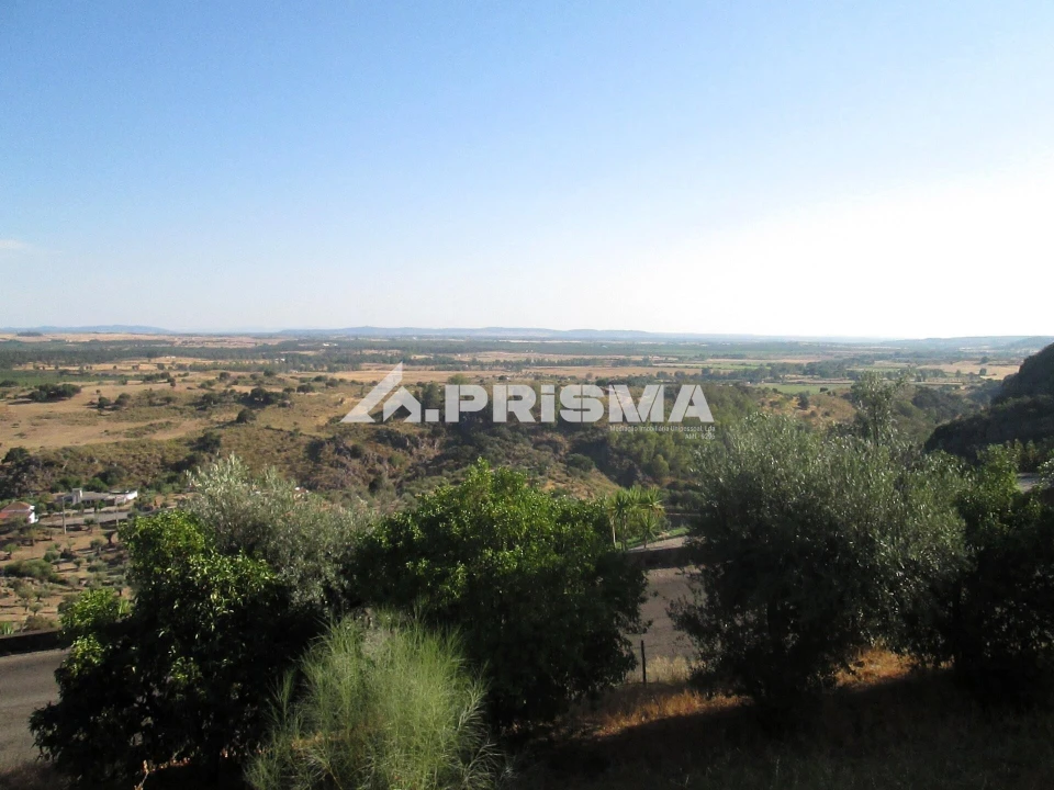 Terreno para Venda em Idanha-A-Nova e Alcafozes Foto 23