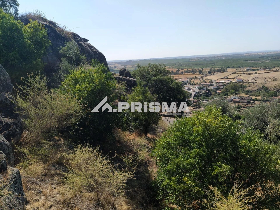 Terreno para Venda em Idanha-A-Nova e Alcafozes Foto 35