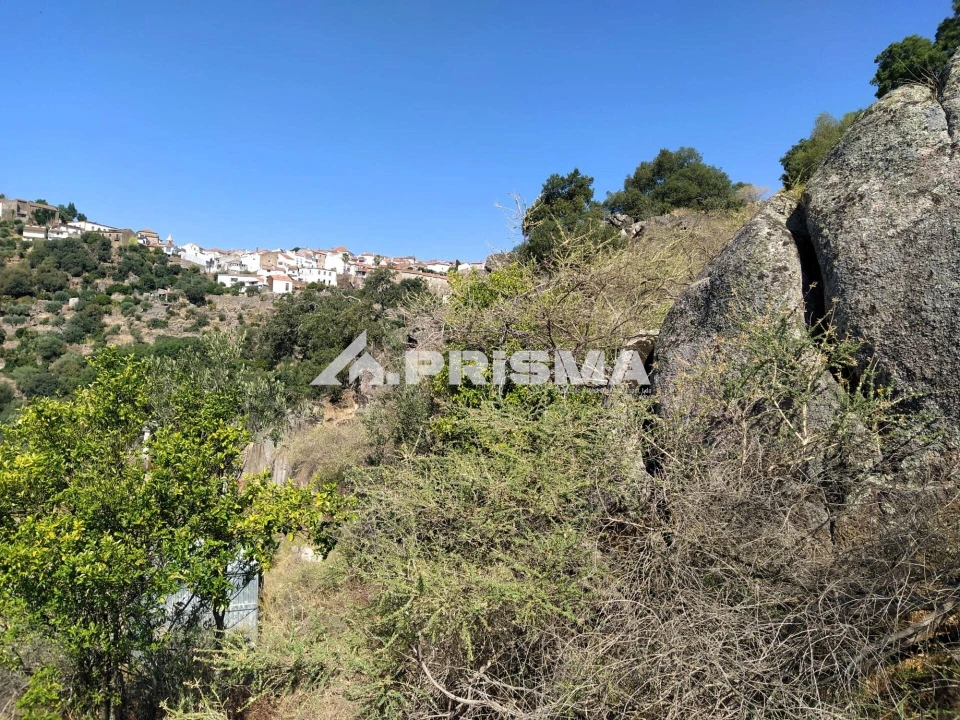Terreno para Venda em Idanha-A-Nova e Alcafozes Foto 36