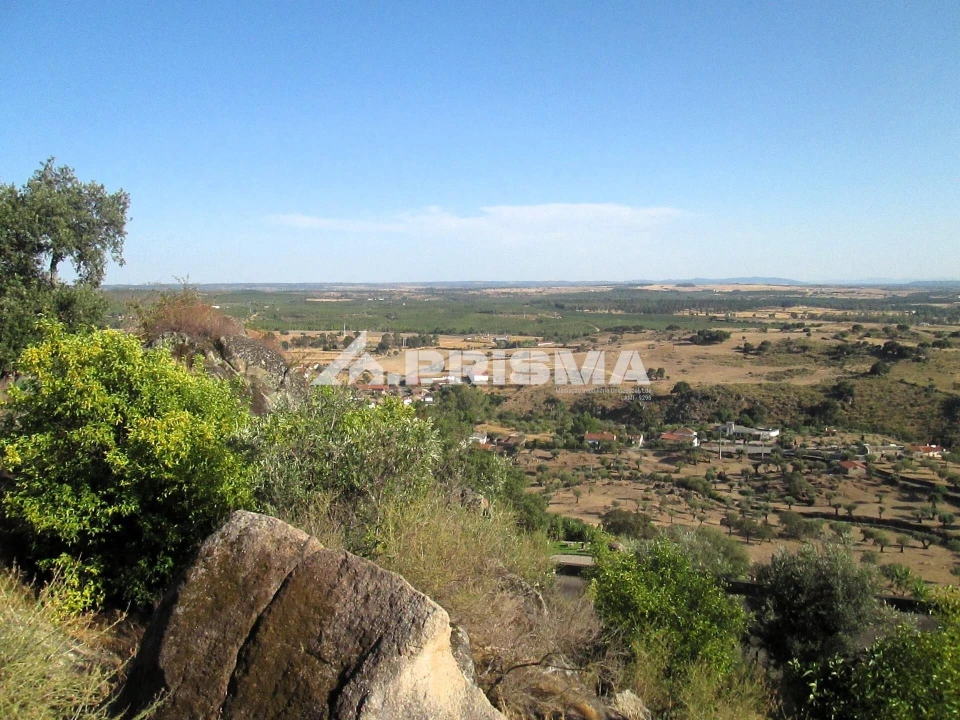 Terreno para Venda em Idanha-A-Nova e Alcafozes Foto 26