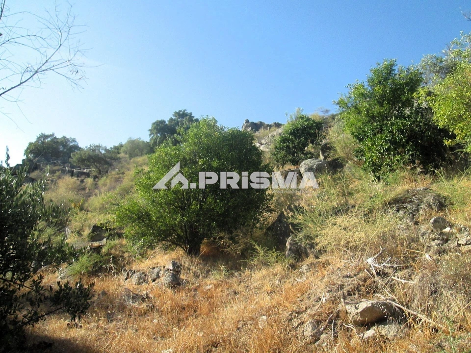 Terreno para Venda em Idanha-A-Nova e Alcafozes Foto 18