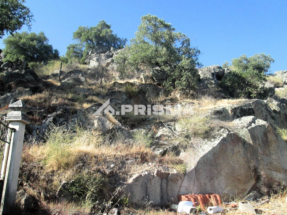 Terreno para Venda em Idanha-A-Nova e Alcafozes Foto 4