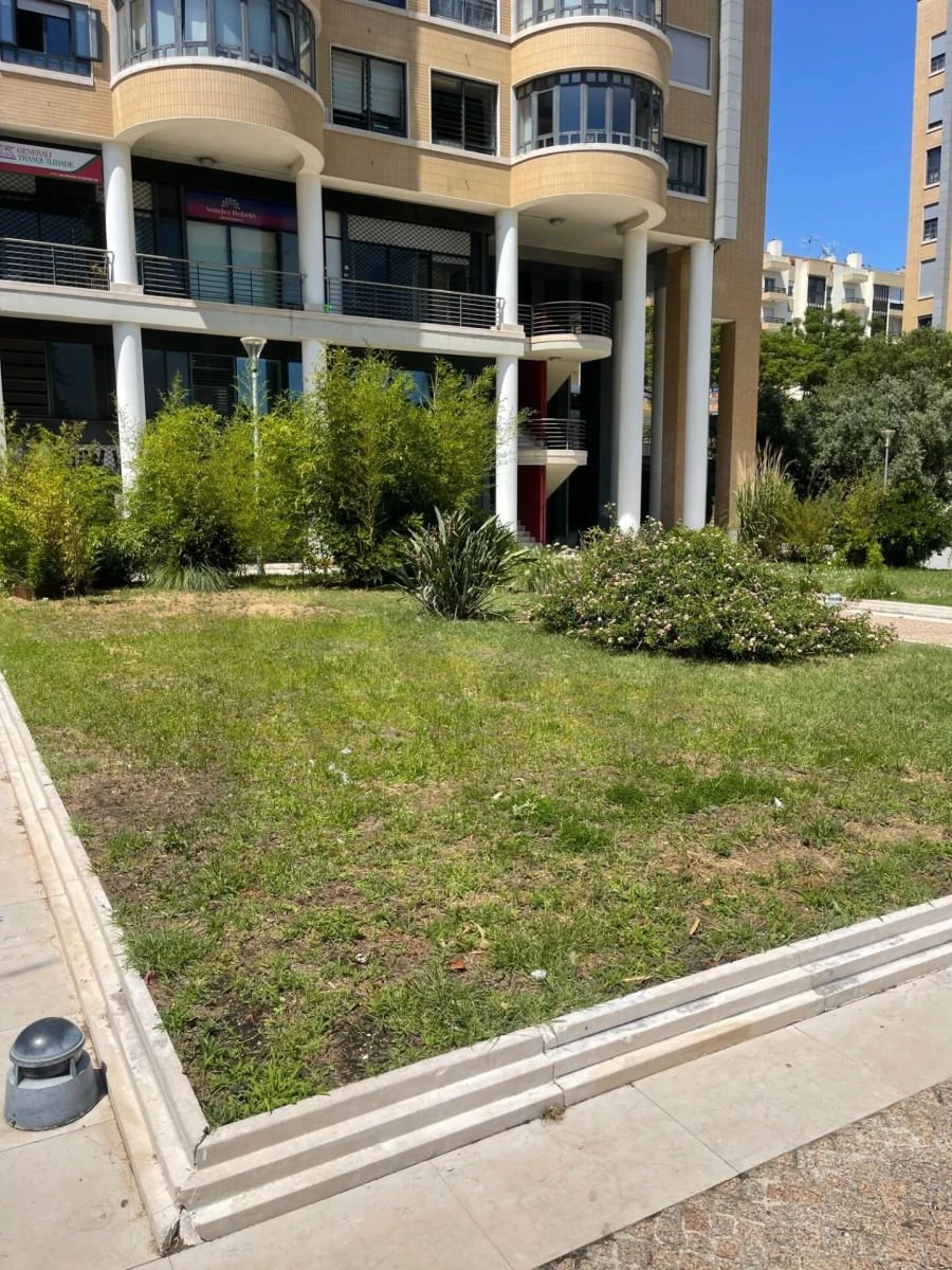 Loja para Venda em Lumiar Foto 10