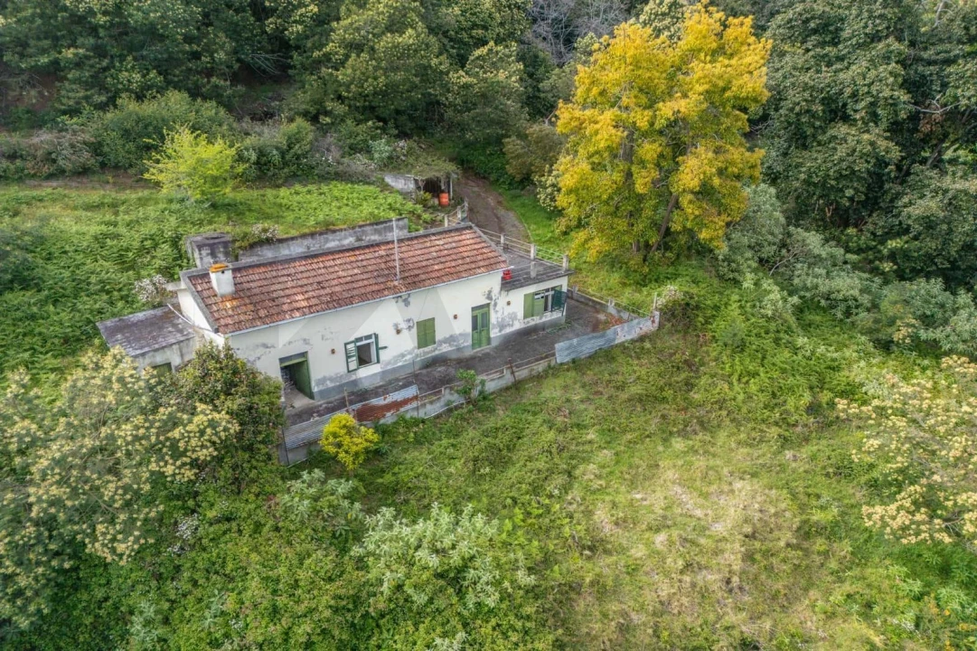Moradia T3 para Venda em Caniço Foto 5