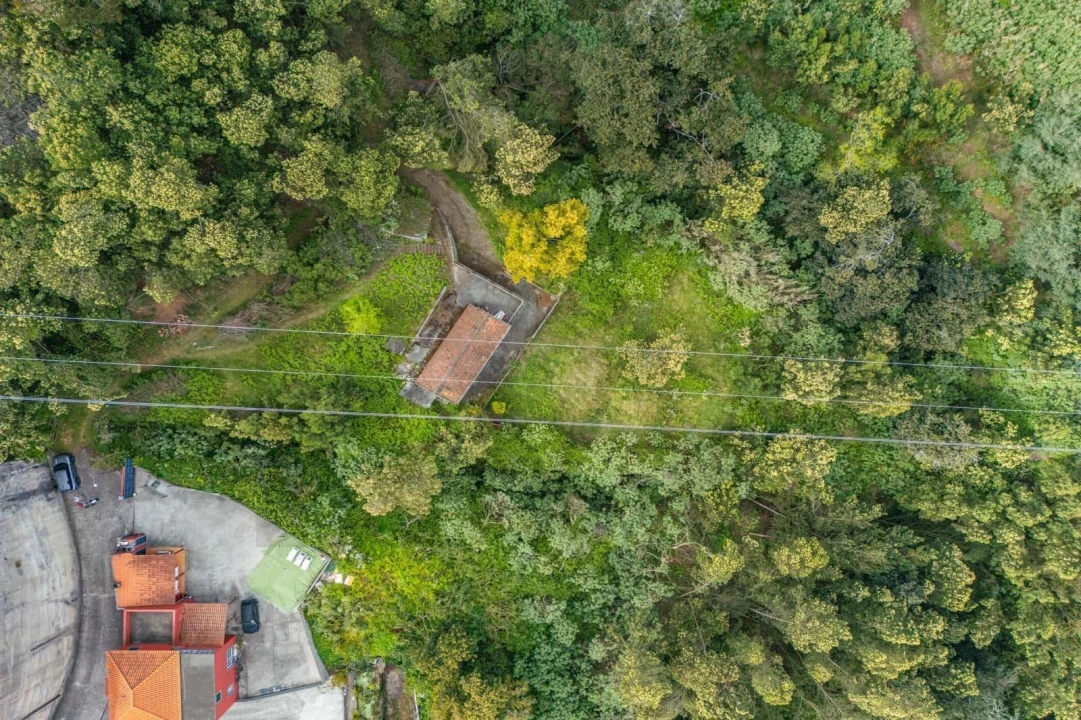 Moradia T3 para Venda em Caniço Foto 12