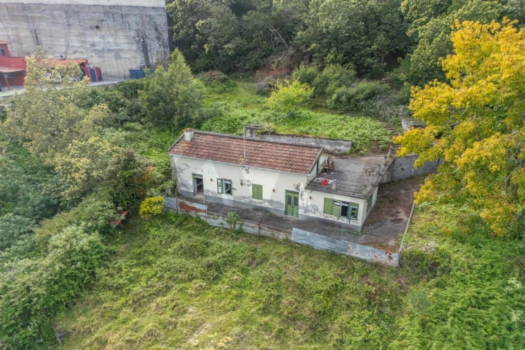 Moradia T3 para Venda em Caniço Foto 3