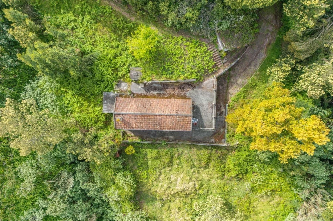 Moradia T3 para Venda em Caniço Foto 7